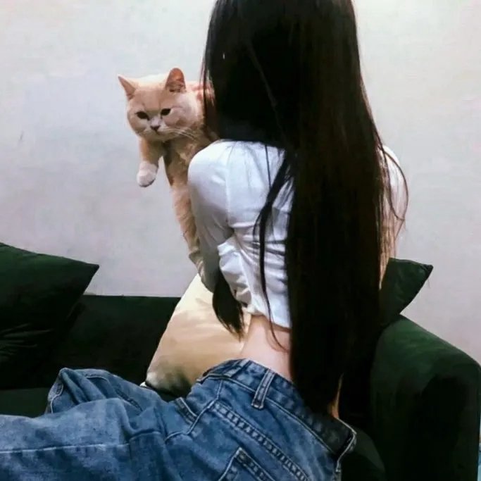 铁蹄慈泪